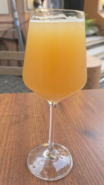 Progressive Overload: Kveik QDH TIPA 10.0%, Hop Hooligans, Romania