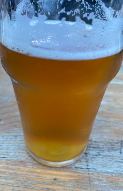 Proto Series Double IPA 8.0%, Stadin Panimo, Finland