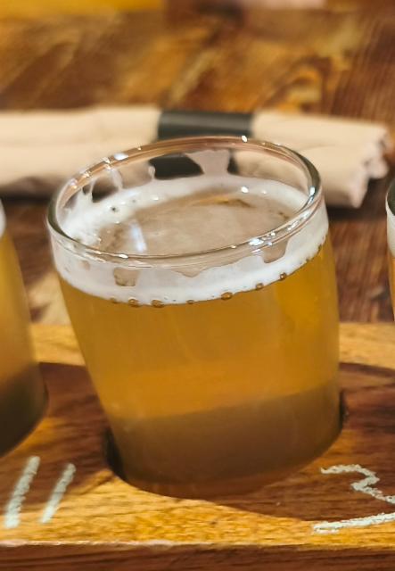Protocole 45 5.5%, La Souche Microbrasserie, Canada