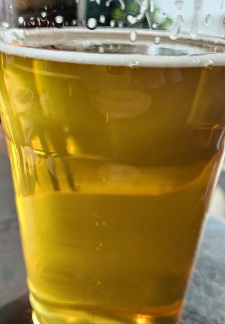 Protokolla 5.5%, Brew-Pub Gallows Bird, Finland