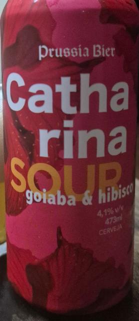 Prussia Catharina Sour 4.1%, Prussia Bier, Brazil
