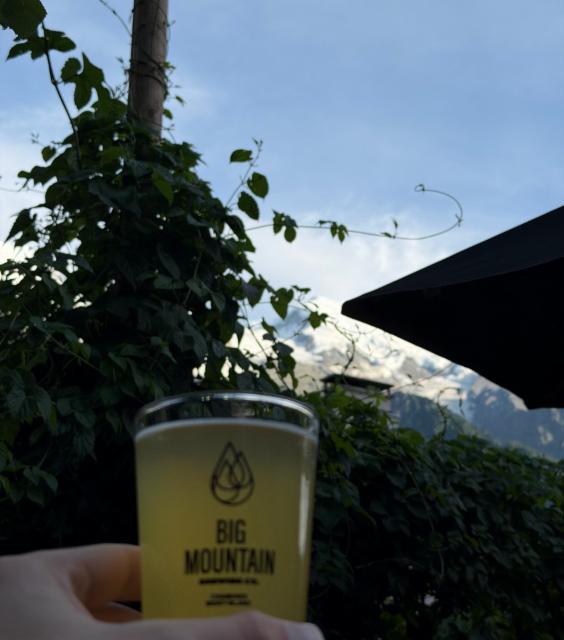 Pt'it Bidule 4.0%, Big Mountain Brewing Co. (Basecamp), France