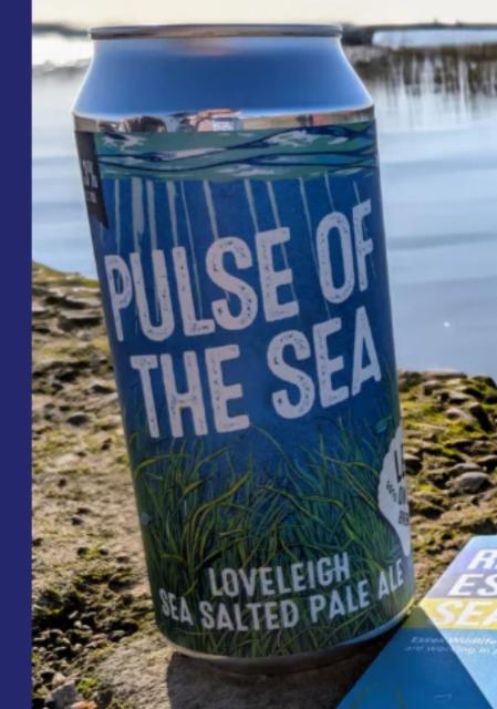 pulse of the sea, Leigh on Sea Brewery