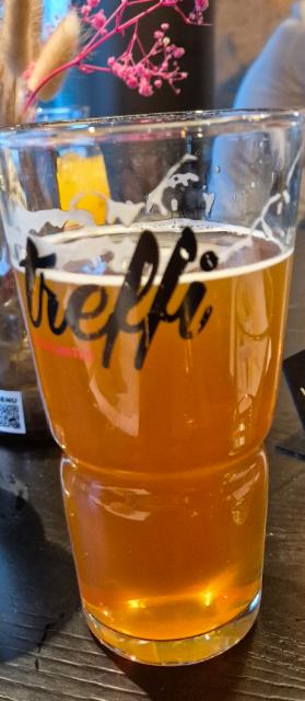 pumpkin ale, Maku Brewing