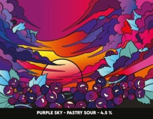 Purple Sky 4.5%, Ferme Brasserie Des Sagnes, France