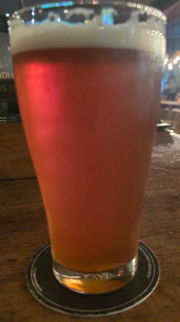 raging elephant 6.8%, Arbor Brewing Company, India