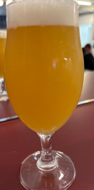 Rambler 7.0%, Oso Brew Co., Spain
