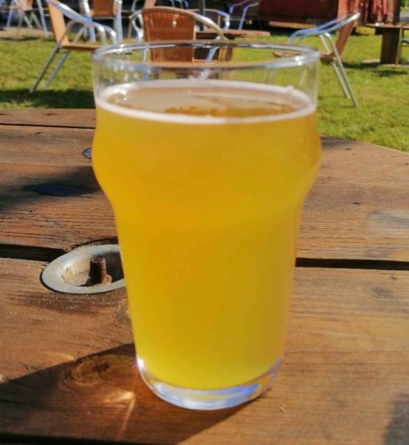 Rasta Shiva 4.0%, La Berlue, France