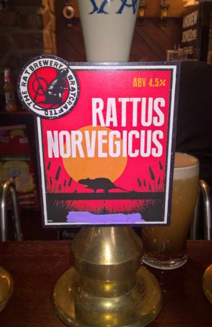 Rattus Norvegicus 4.5%, The Rat Brewery, England