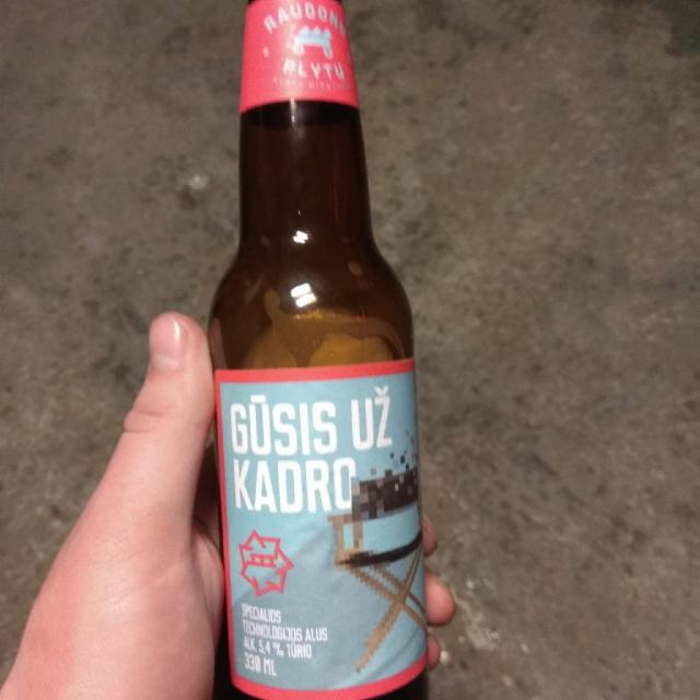 Gūsis Uż Kadro 5.4%, Raudonų Plytų Alaus Dirbtuvės (Švyturys), Lithuania