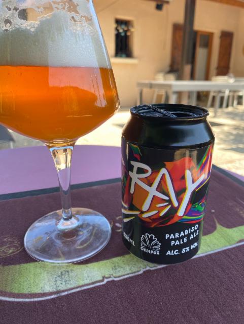 Ray, Oedipus Brewing