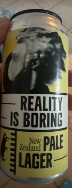 Reality is boring 4.8%, Birrificio Wild racoon, Italy