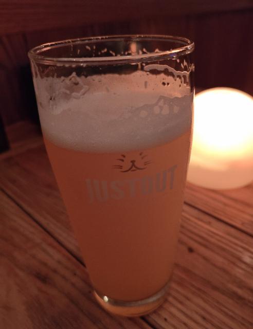 Rebound Hazy DIPA, Richkat