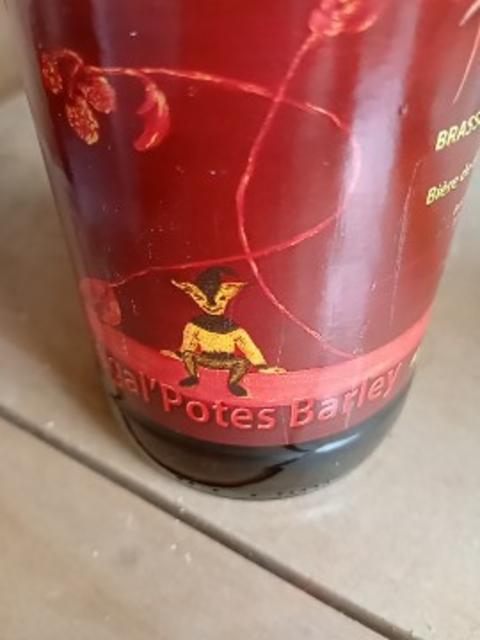 Régal'Potes Barley 9.0%, Régal'Potes, France