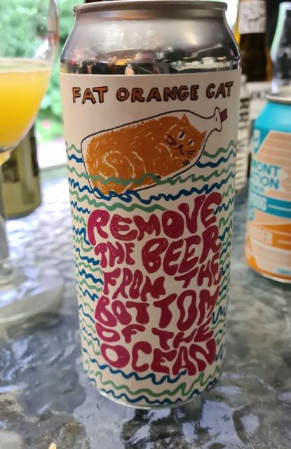 Remove the Beer from the Bottom of the Ocean 7.5%, Fat Orange Cat Brew Co., United States