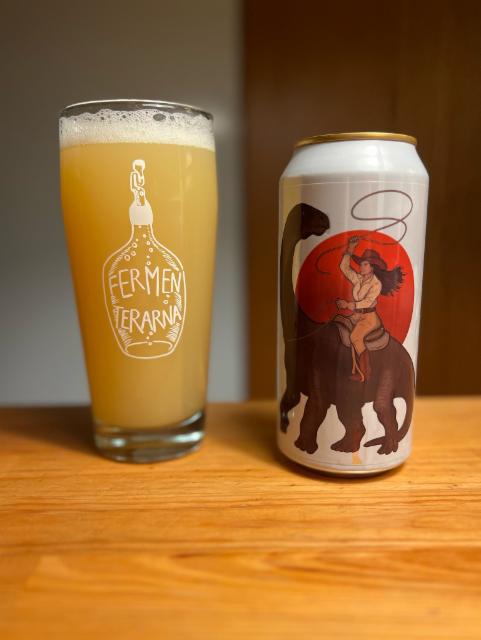 Reptile Rider, Fermenterarna