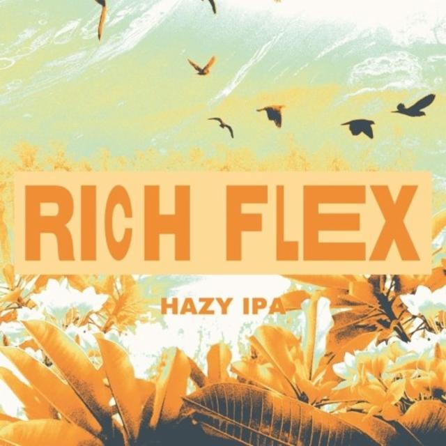 Rich Flex 6.5%, Dark Lab Brewing Co., France