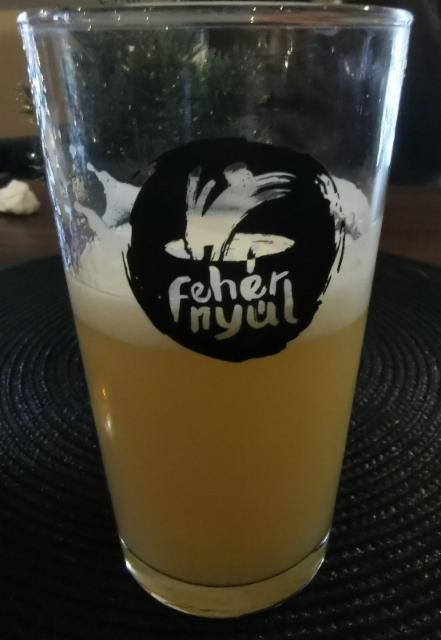 rising fall, Brew Your Mind