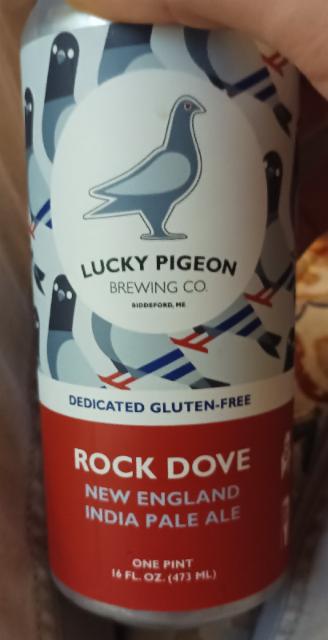 Rock dove, Lucky pigeon