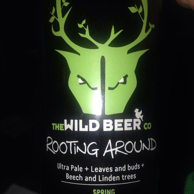 Rooting Around Spring 3.0%, Wild Beer, England