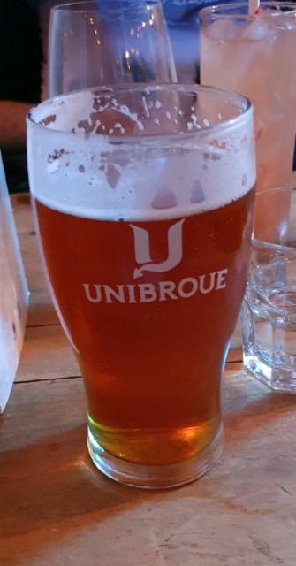 Rousselière 5.0%, Le Saint-Bock, Canada