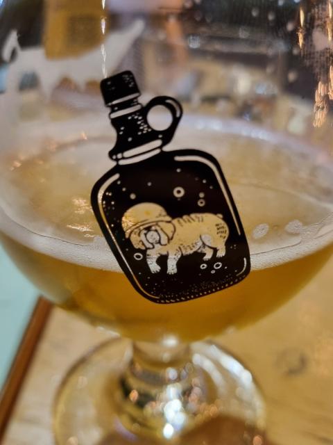 Rrëy Mexican ipa 4.7%, Cerveza Rrëy, Mexico