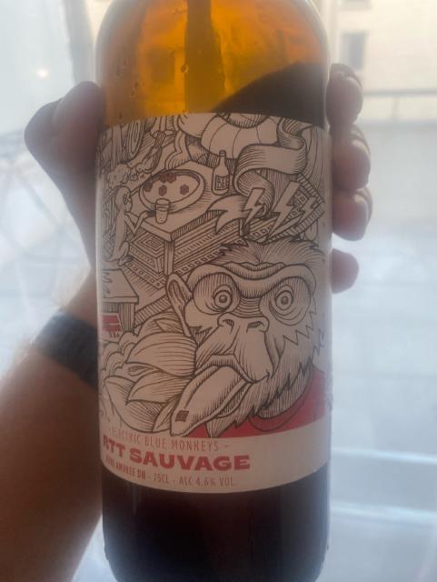 RTT Sauvage 4.6%, Electric Blue Monkeys, France