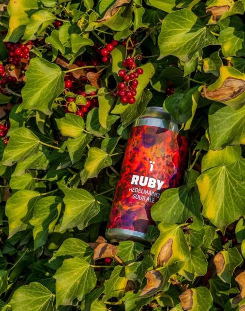 Ruby 6.0%, Naïlo Brewing Co., Finland
