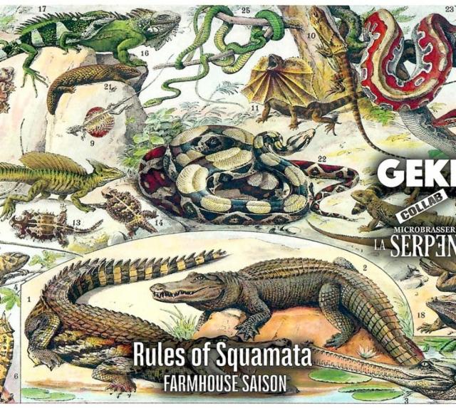 Rules Of Squamata 6.5%, Gekko Beers - Gekko Brewing Company, France