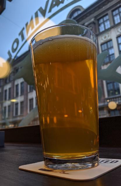 Ruttolintu ipa 6.0%, Mallaskuun Panimo, Finland