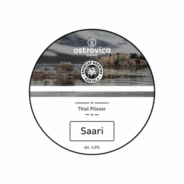 Saari 4.5%, Snowcap Brewing Karjala, Russia