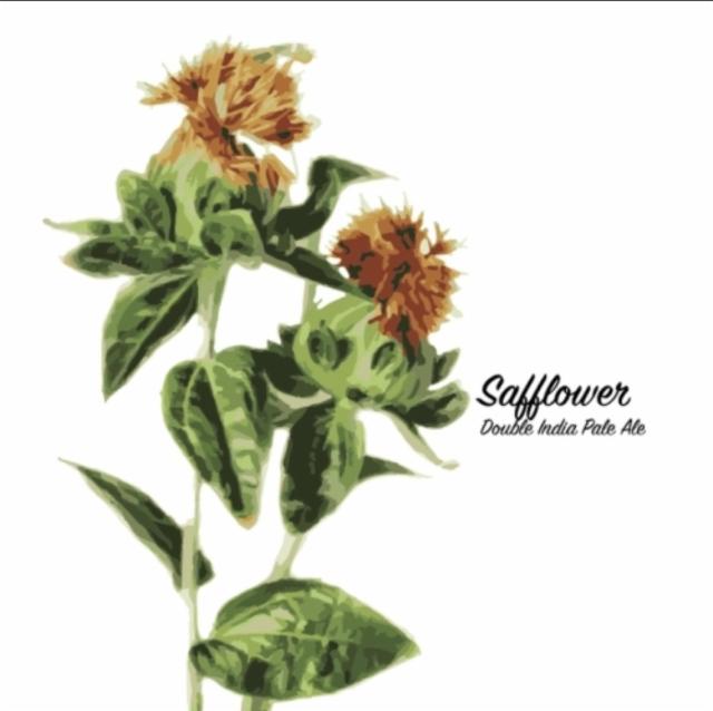 Safflower 8.2%, Fidens Brewing Co., United States
