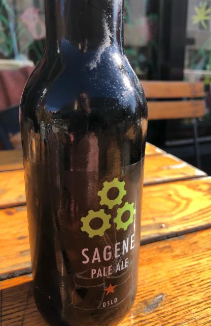 Sagene Pale Ale 4.7%, Sagene Bryggeri, Norway