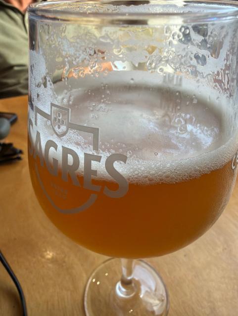 Sagres Não Filtrada, Sociedade Central de Cervejas e Bebidas (Heineken Group)