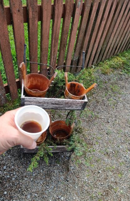 Sahti 2022 9.0%, Hämeenkoski Sahtilady, Finland