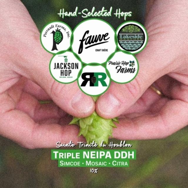 Sainte Trinité Du Houblon 10.0%, Fauve, France