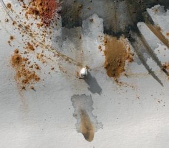 Saison Du Chai 2024 6.0%, Brasserie La Malpolon, France