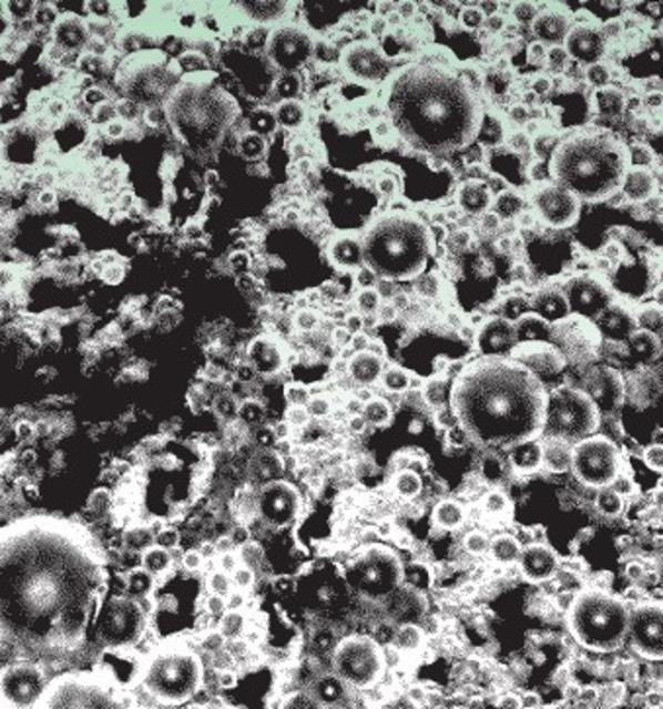 Saison Maison #1 6.0%, Brasserie La Malpolon, France