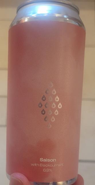 Saison with Blackcurrant 6.9%, Polly's Brew Co., Wales