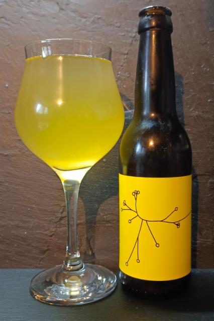 Saison Yuzu 5.9%, Nano Brasserie SPO, France