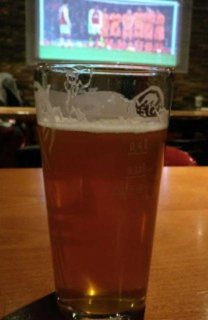 Sali Pale Ale 4.7%, Top Fuel Beer Company, Finland