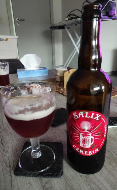 salix ceresia 5.3%, Brasserie De La Villette, France