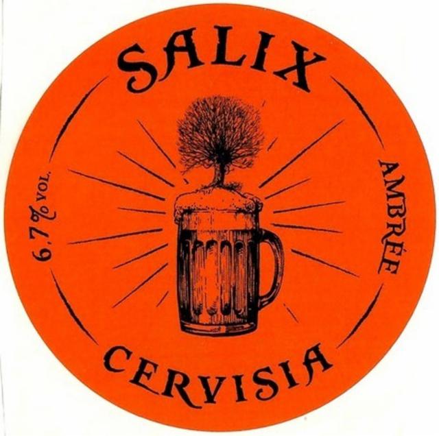 Salix Cervisia Ambrée 6.7%, Brasserie De La Villette, France