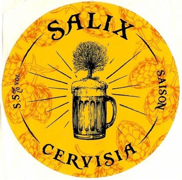 Salix Cervisia Saison 5.5%, Brasserie De La Villette, France