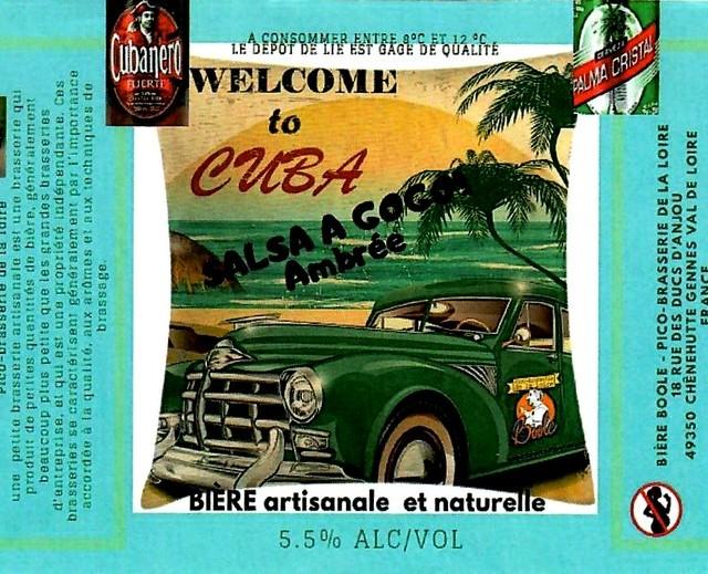 Salsa À Gogo 5.5%, Picobrasserie De La Loire Boole, France