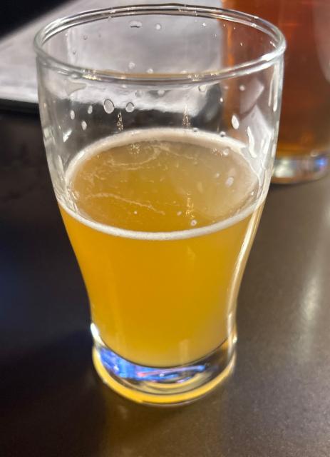 Salt of valhalla 5.0%, Skol Brewing Company, United States
