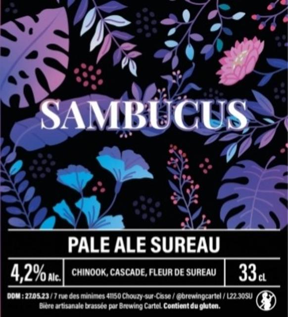 Sambucus 4.2%, Brewing Cartel, France