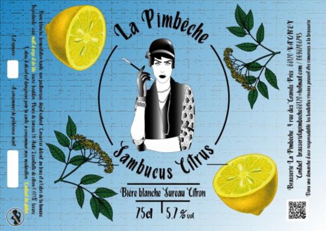 Sambucus Citrus 5.7%, La Pimbêche, France