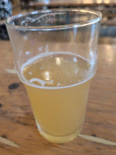 Sapajou ! 6.0%, Brasserie de la PAM, France