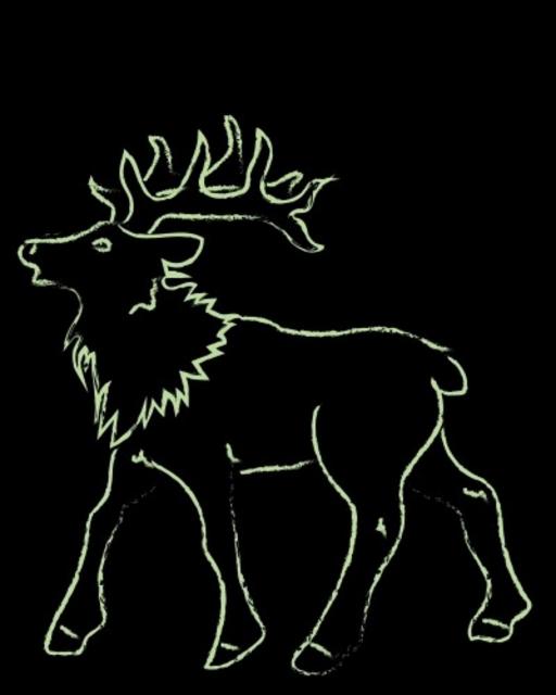 Sapin - Citra 4.3%, Brasserie Pikadili, France